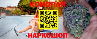 крисы Волгодонск