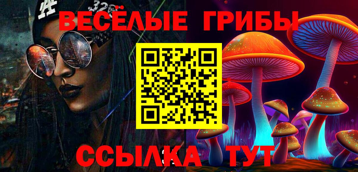 Галлюциногенные грибы Psilocybine cubensis Истра