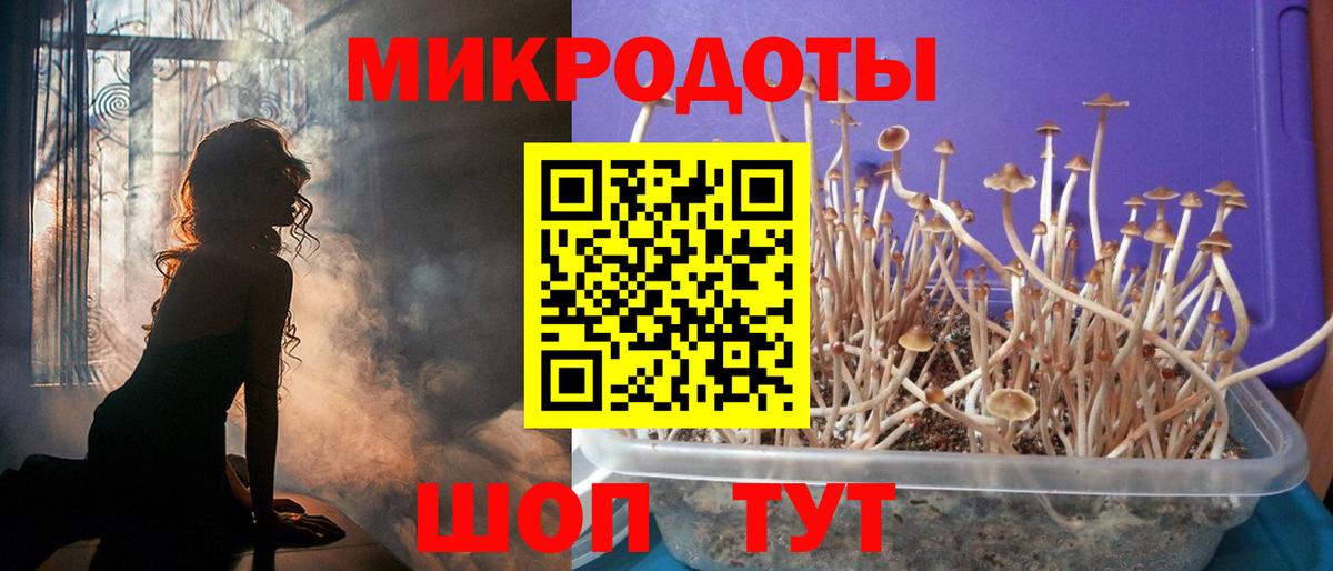 Псилоцибиновые грибы прущие грибы  Вход с VPN  закладка  Истра 